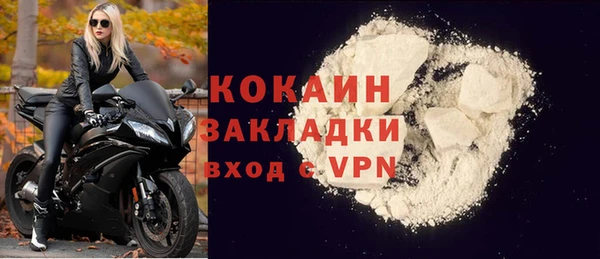 мдпв Краснослободск